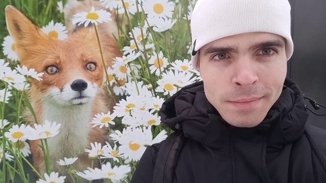 ЛУГАНСК СЕГОДНЯ, СКВЕР ВЛКСМ. ВЫСТАВКА. 16 ЯНВАРЯ 2023 смотреть онлайн