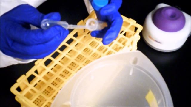 Bacteria DNA Extraction Demo1 2 смотреть онлайн