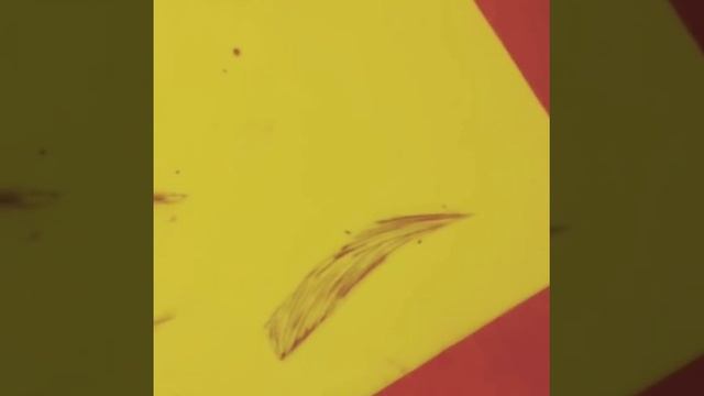 Микроблэйдинг бровей