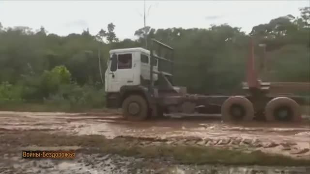 Грузовые прицепы GINAF 380 и DAF 85 CF Nederland для погрузки древесины смотреть онлайн