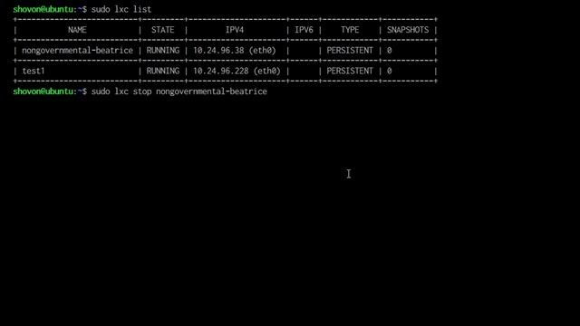10. Deleteing an LXC Container with LXD смотреть онлайн