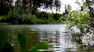 Футаж Лесное озеро HD 1080 скачать бесплатно