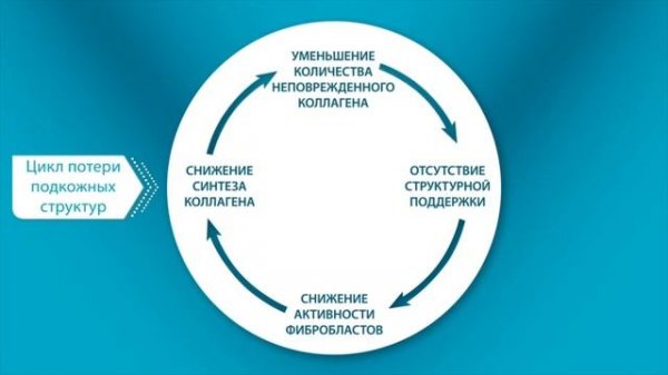 Radiesse - как работает