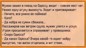 ?Жена Приходит Домой,Её Встречает Муж...Сборник Лучших Анекдотов Месяца,Для Супер Настроения!