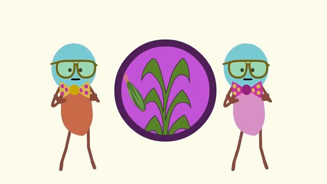 Go Bananas! _ Camp Song _ Scratch Garden смотреть онлайн