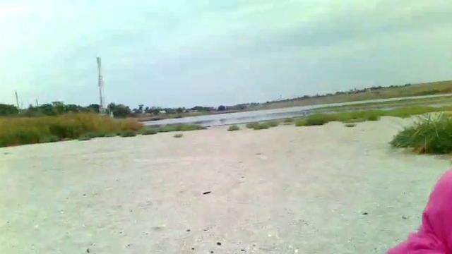 нестрашные морские черви смотреть онлайн