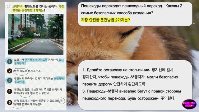 🚗 운전면허 PLUS Фото № 27 водительские права смотреть онлайн