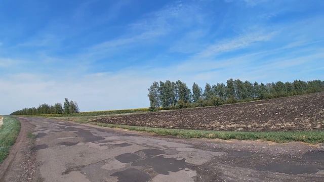 21 августа - Медосбор окончен, пора снимать магазины! смотреть онлайн