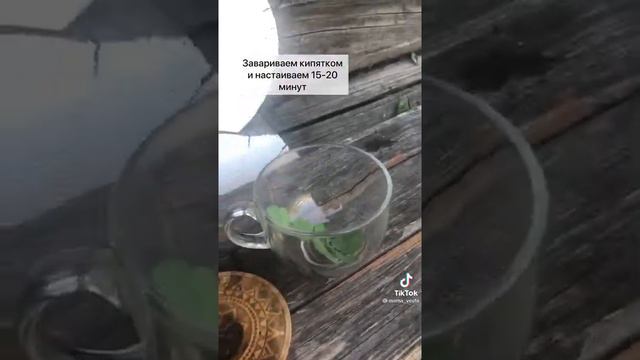 Чистотел. смотреть онлайн