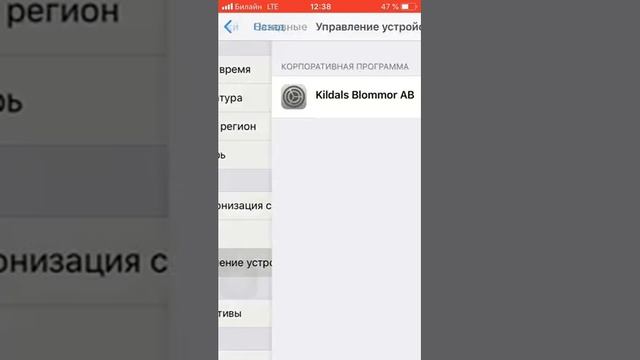 AppEven бесплатно скачивать приложения на iOS смотреть онлайн