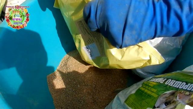 Мы ее все-таки посадили 14 апреля утром!!! Картошка - в земле!!!