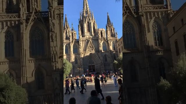Кафедральный собор Барселоны смотреть онлайн