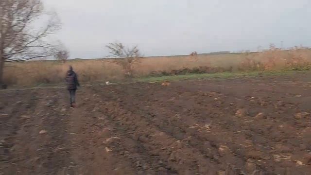 ВЛОГ: Одна такая на районе / Температура держится / Люблю когда неожиданно