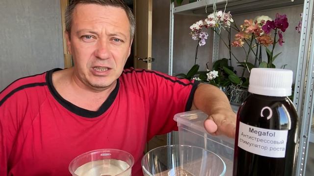 АНТИСТРЕССОВЫЙ СТИМУЛЯТОР роста ОРХИДЕИ МЕГАФОЛ Megafol смотреть онлайн