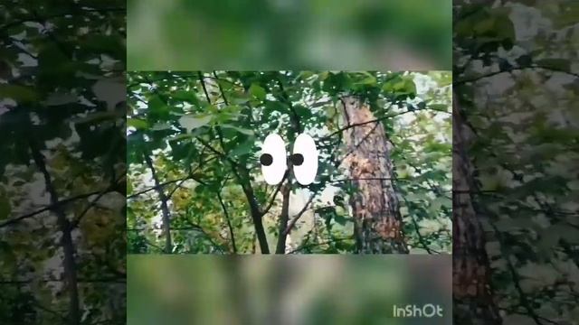 Сдохни или умри. Не Лапенко. Жри борщевик или Танцуй КИЗОМБА смотреть онлайн