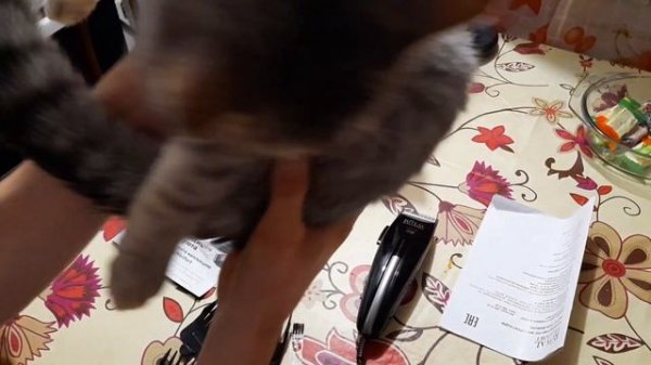 Обзор Royal wellfort Машинка для стрижки волос