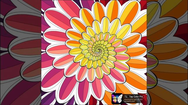 Shade of the Sunflower смотреть онлайн