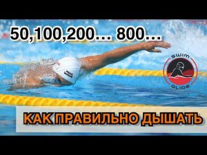 Как дышать при плавании кролем на разных дистанциях?!