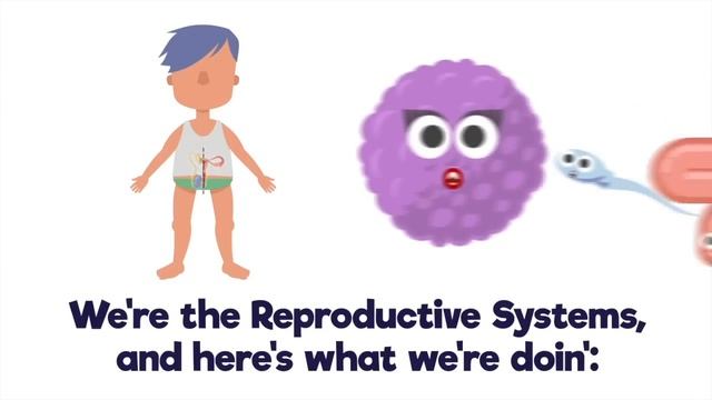 Twelve Body Systems Song