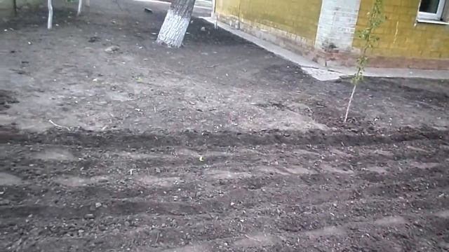 Наш огород. Гладиолусы. Маки. Пионы. Опять танцуем и поём. Ещё рядок пристройки. 15-16.05.20 смотреть онлайн