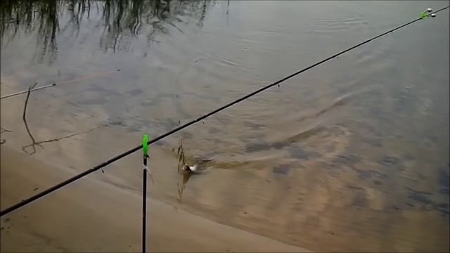 Рыбалка в Казани (поклевка на фидер). Streetfishing