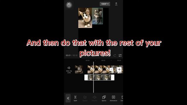 How to make a picture collage on CAPCUT for FREE (tutorial) смотреть онлайн