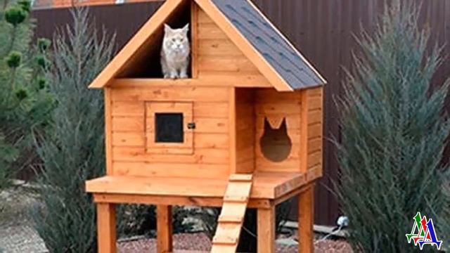 Забота о животных – Чудесные ДОМИКИ ДЛЯ БЕЗДОМНЫХ КОШЕК смотреть онлайн