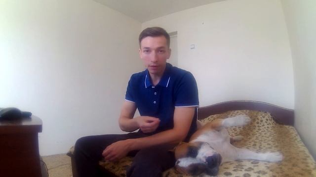 СЛОЖНО ЛИ СОДЕРЖАТЬ СТАФФОРДА смотреть онлайн