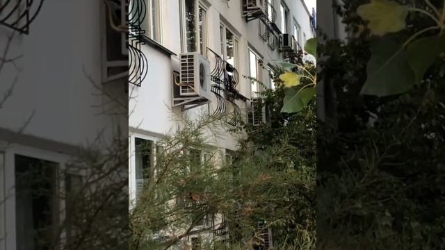 Коблево, База отдыха Надежда 10-12 сент. 2021 смотреть онлайн