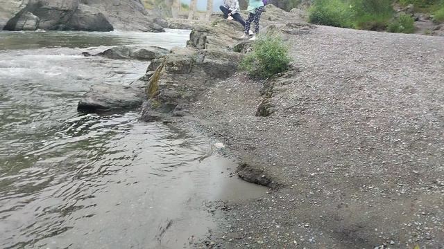 Эндерс Алексей