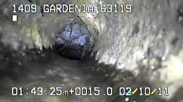 1409 Gardenia 63119 Part 3