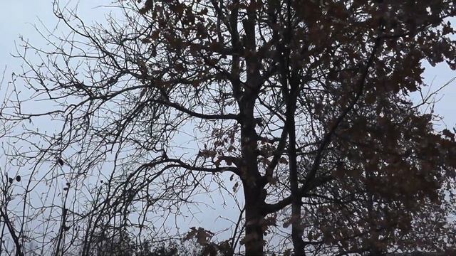 Тележка для лодочного мотора GLADIATOR 9.9, своими руками.Настоящая помощница для перевозки мотора. смотреть онлайн