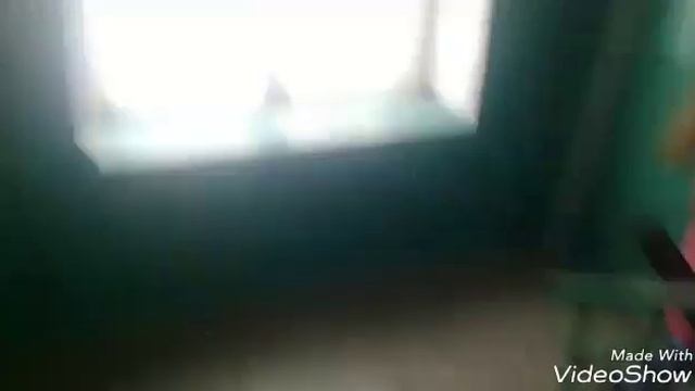 Одеваю собаку + прогулочка смотреть онлайн