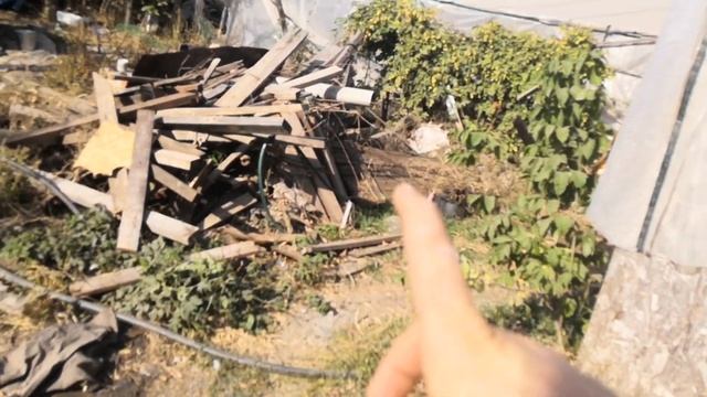 Переселение кур несушек Птичник Фундамент дома Переезд в деревню Загородный дом Сельская жизнь смотреть онлайн