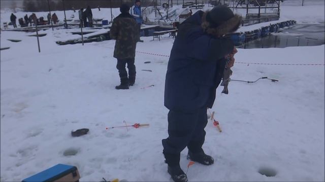 Рыбалка на ViP зоне в Савельево-1!!! 28.01.17 смотреть онлайн