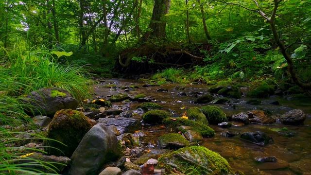 Музыка для повышения вибраций человека и восстановления положительной энергии смотреть онлайн