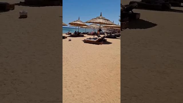TUI BLUE SENSATORI CORAL SEA ..SHARM EGYPT JUNE 2022 смотреть онлайн