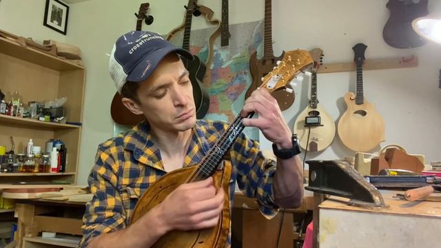 Dubova Mandolin. Daisy Flower Themed. смотреть онлайн