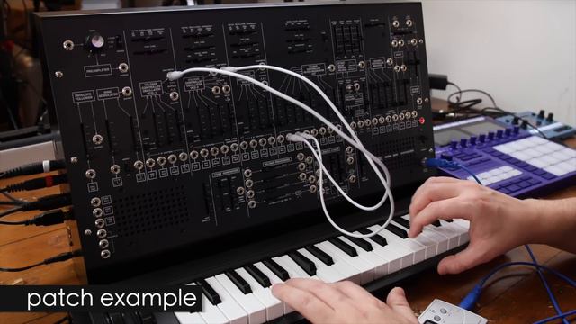 Exploring KORG ARP2600M analog synthesizer + FREE SAMPLE PACK смотреть онлайн