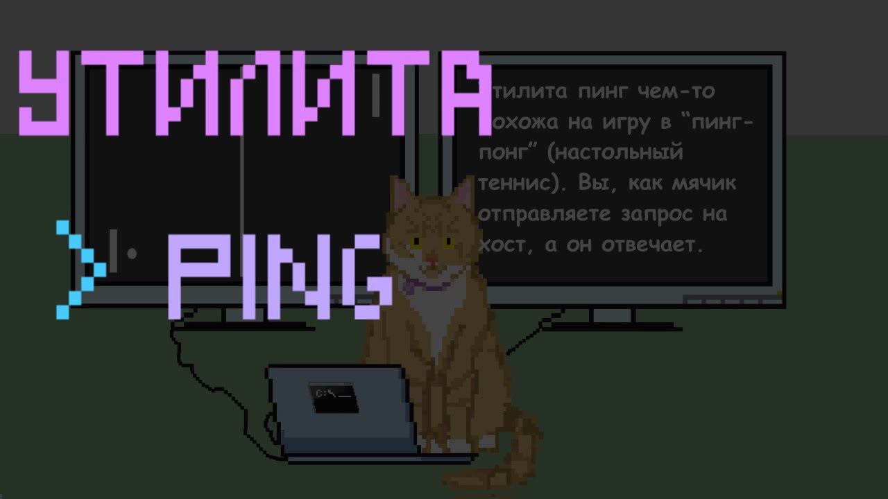 Утилита Ping | Заметки оцифрованного кота