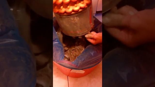 Пылесос Dyson DC 52 Allergy