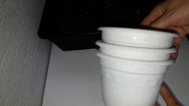 КОМНАТНЫЕ РАСТЕНИЯ(ЦВЕТЫ).ПЕРЕСАДКА НОВИНОЧЕК.(2 ЧАСТЬ) смотреть онлайн