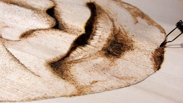 Pyrography Portrait Wood Burning Tutorial: Part 8 - 10x Speed w/narration смотреть онлайн