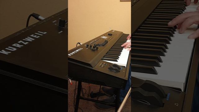Piano 3 Live Groove - Arrangements of Songs, Playbacks - Produced by danmusik Germany смотреть онлайн