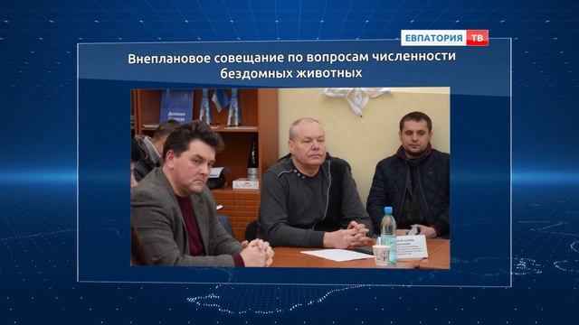 Власти и волонтеры о проблеме бездомных животных смотреть онлайн