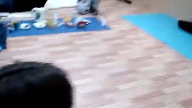 Квартирники "Планета друзей" смотреть онлайн