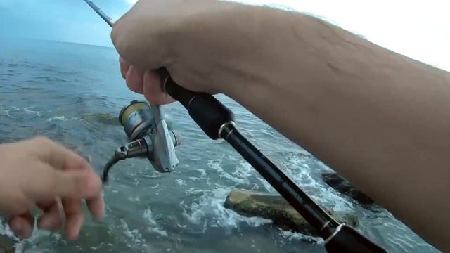 ?Кишащее ставридой Чёрное море. Клёв как из пулемёта. Как и на что ловить. Рокфишинг в Анапе смотреть онлайн