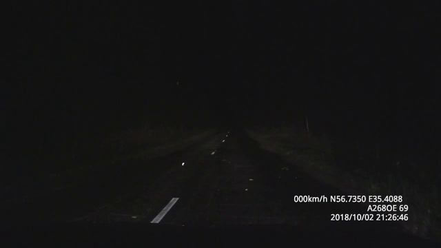 Что говорит лиса )))) смотреть онлайн