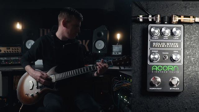 Acorn Amps Solid State Preamplifier // Guitar Pedal Demo