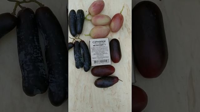 Сравнение сортов винограда Аватар, Находка Калугина, Рембо и Зоренька